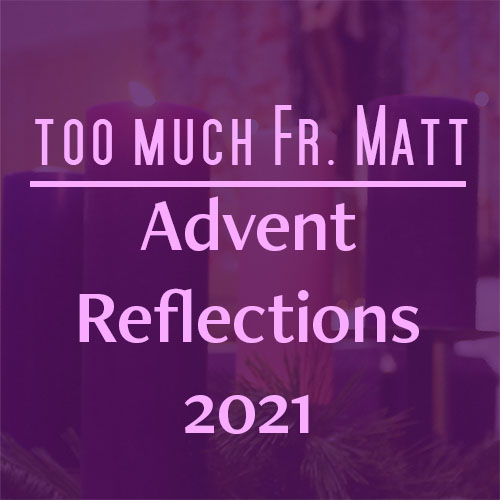 Advent Reflections 2021 — The Immaculate Conception episode artwork